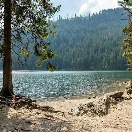 Apartmany Anicka Železná Ruda Buitenkant foto