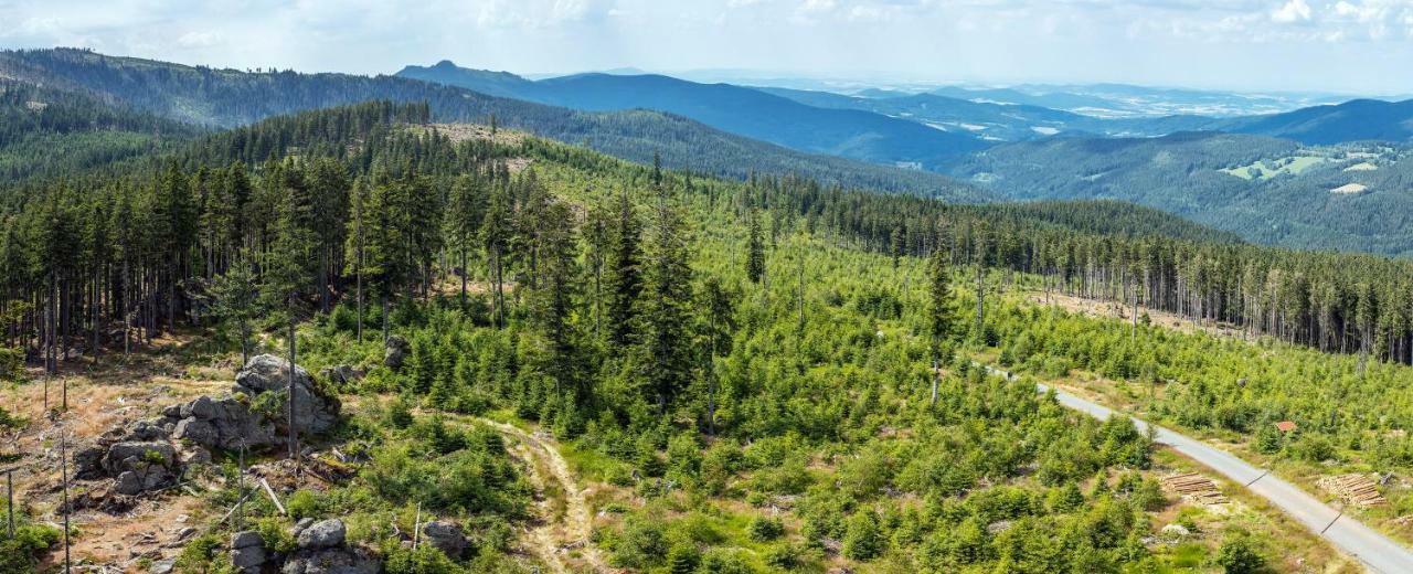 Apartmany Anicka Železná Ruda Buitenkant foto